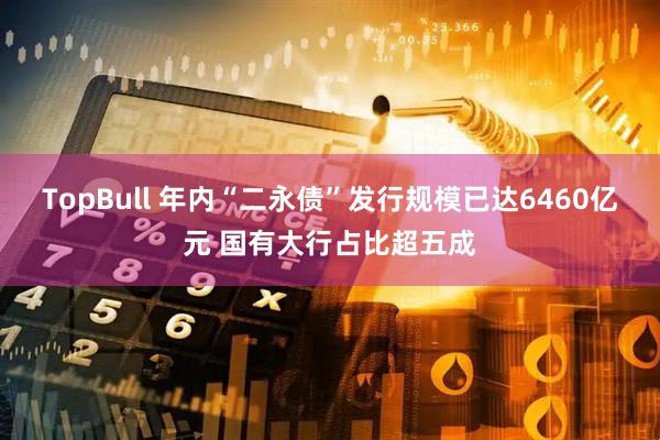 TopBull 年内“二永债”发行规模已达6460亿元 国有大行占比超五成