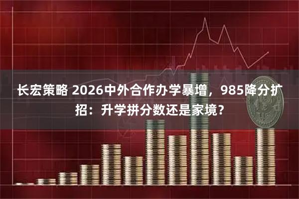 长宏策略 2026中外合作办学暴增，985降分扩招：升学拼分数还是家境？