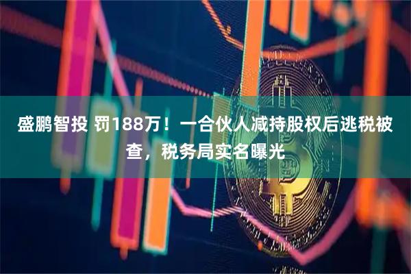 盛鹏智投 罚188万！一合伙人减持股权后逃税被查，税务局实名曝光