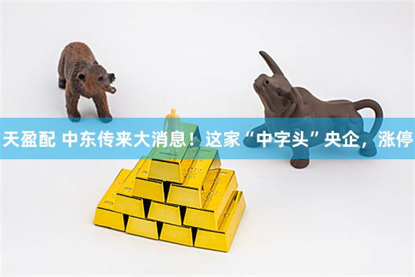 天盈配 中东传来大消息！这家“中字头”央企，涨停